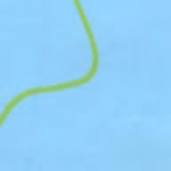 Meet your Posher, Evelyn - Picture 1 of 1